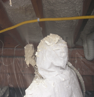 Sterling Heights MI crawl space insulation