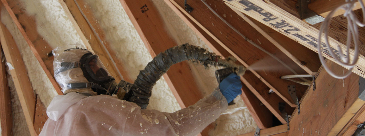 Sterling Heights Michigan Attic Insulation Spray Foam